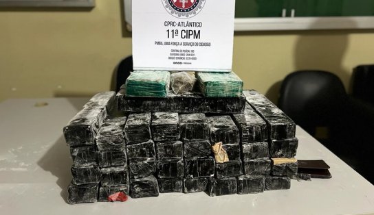 PM apreende maconha que seria distribuída em bairros nobres de Salvador  