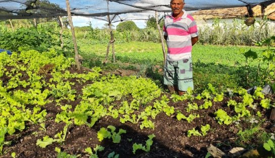 Para financiar projeto de desenvolvimento rural, Rui pede a AL-BA autorização para contrair empréstimo de R$ 500 milhões