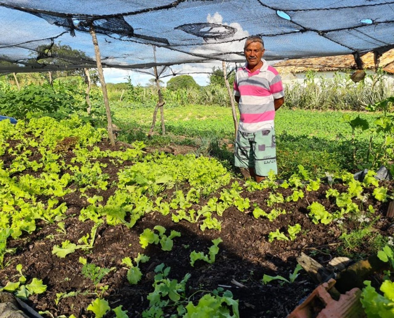 Para financiar projeto de desenvolvimento rural, Rui pede a AL-BA autorização para contrair empréstimo de R$ 500 milhões