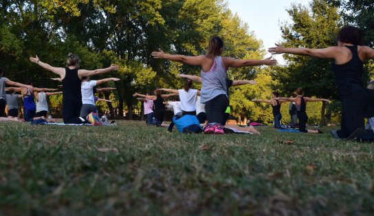 Balé do Teatro Castro Alves oferece aulas gratuitas de yoga, pilates, balé clássico e mais; confira a programação e saiba como participar