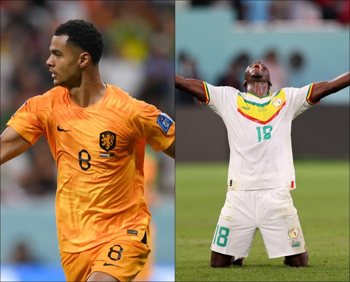 Definidos classificados do Grupo A: Holanda e Senegal vencem e carimbam passaporte para mata-mata