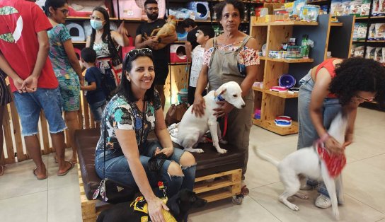 Shopping de Camaçari promove feira de adoção de animais neste fim de semana; saiba como adotar