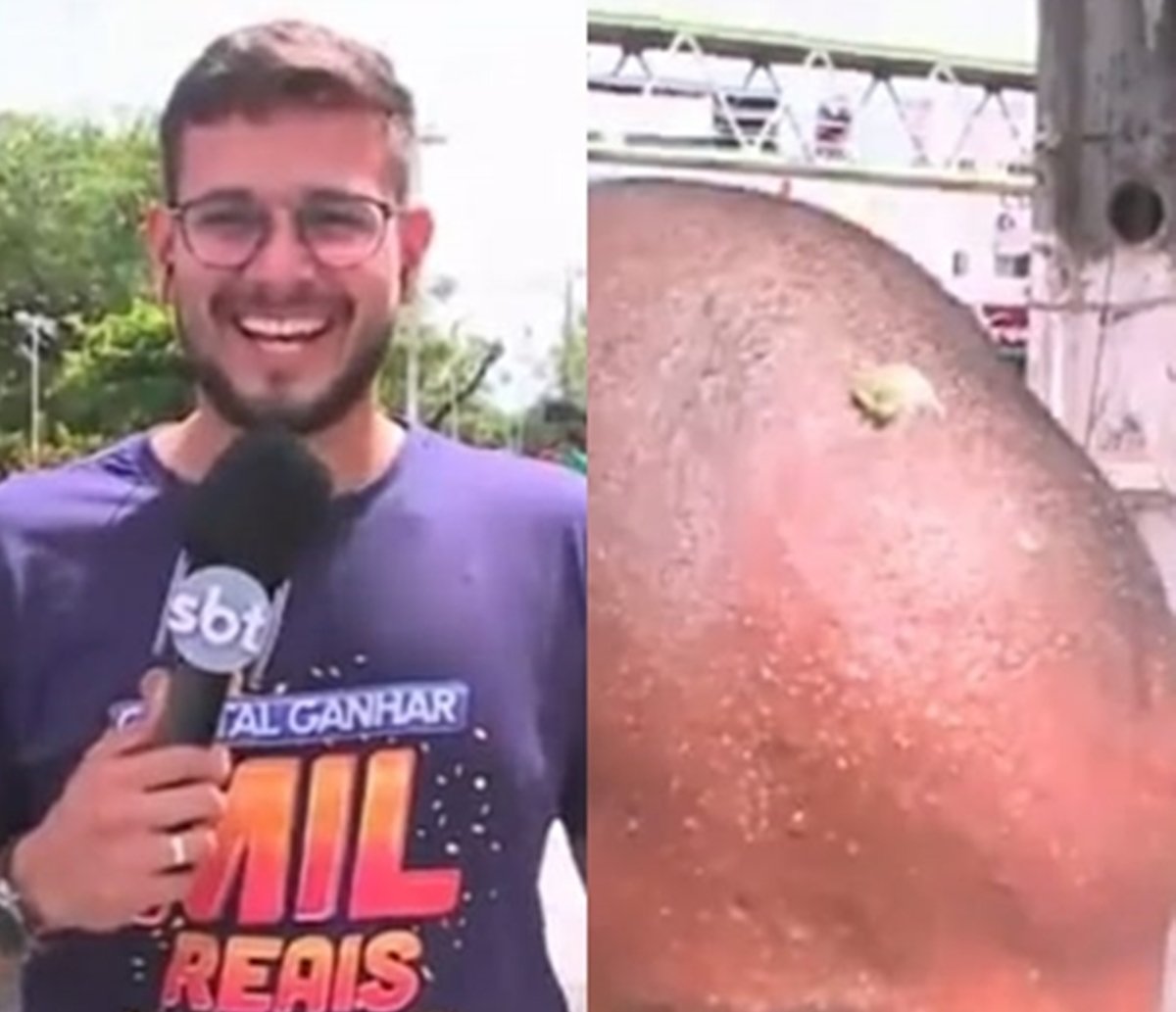 Pombo cocorreio: cinegrafista da TV Aratu é 'batizado' ao vivo; veja vídeo