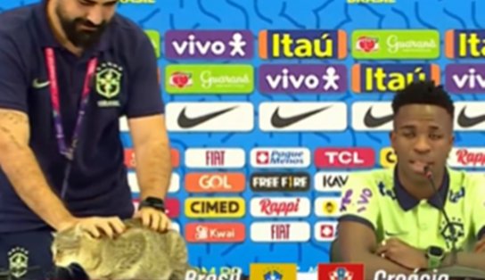 Gato invade coletiva com Vini Jr. e forma que assessor o retira da mesa divide opiniões; vídeo