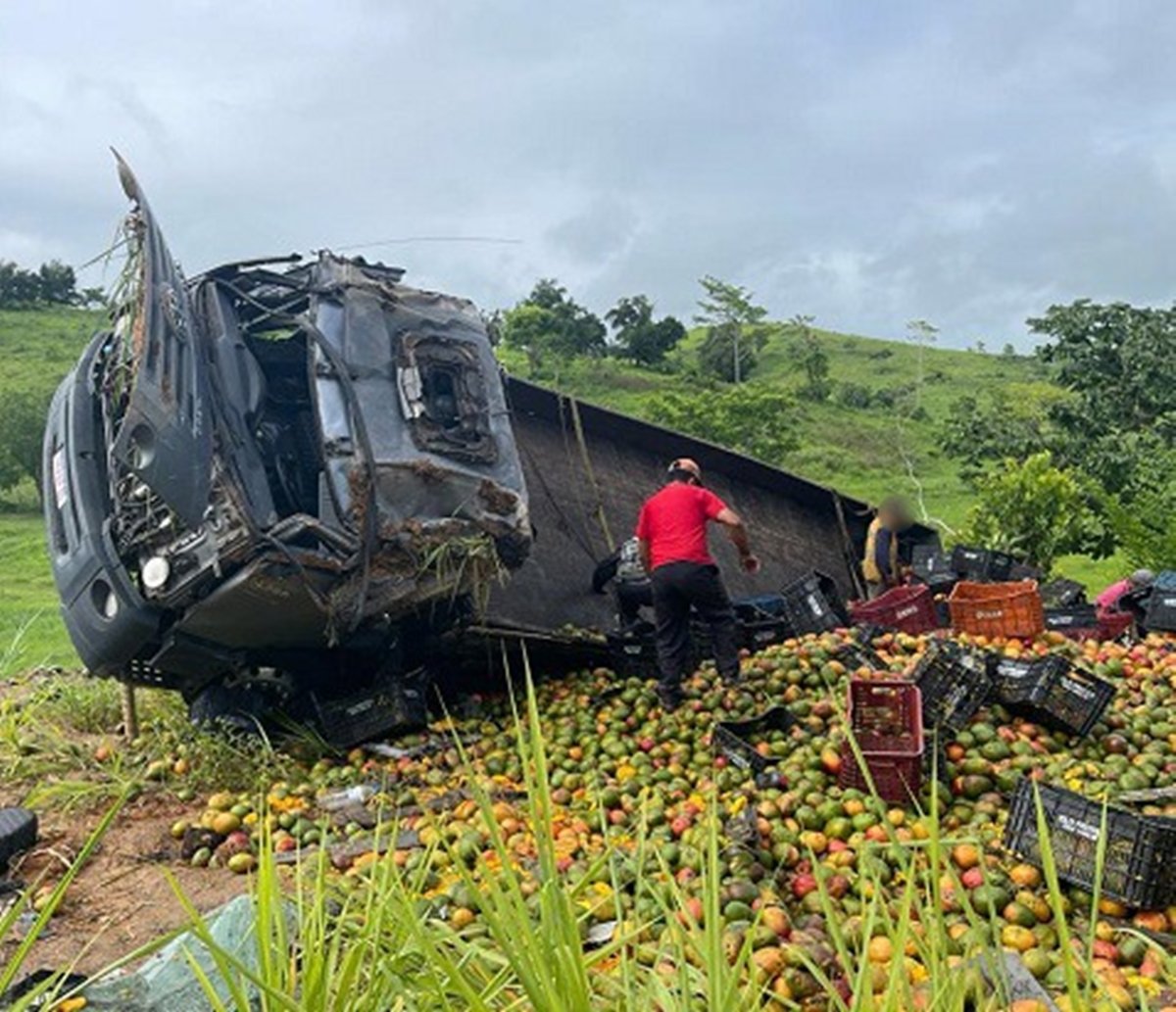 Caminhão que transportava mangas tomba na BR-330 e populares pegam frutas