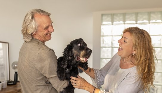  Estudo aponta que terapia com cães ajuda pacientes idosos; veterinária explica