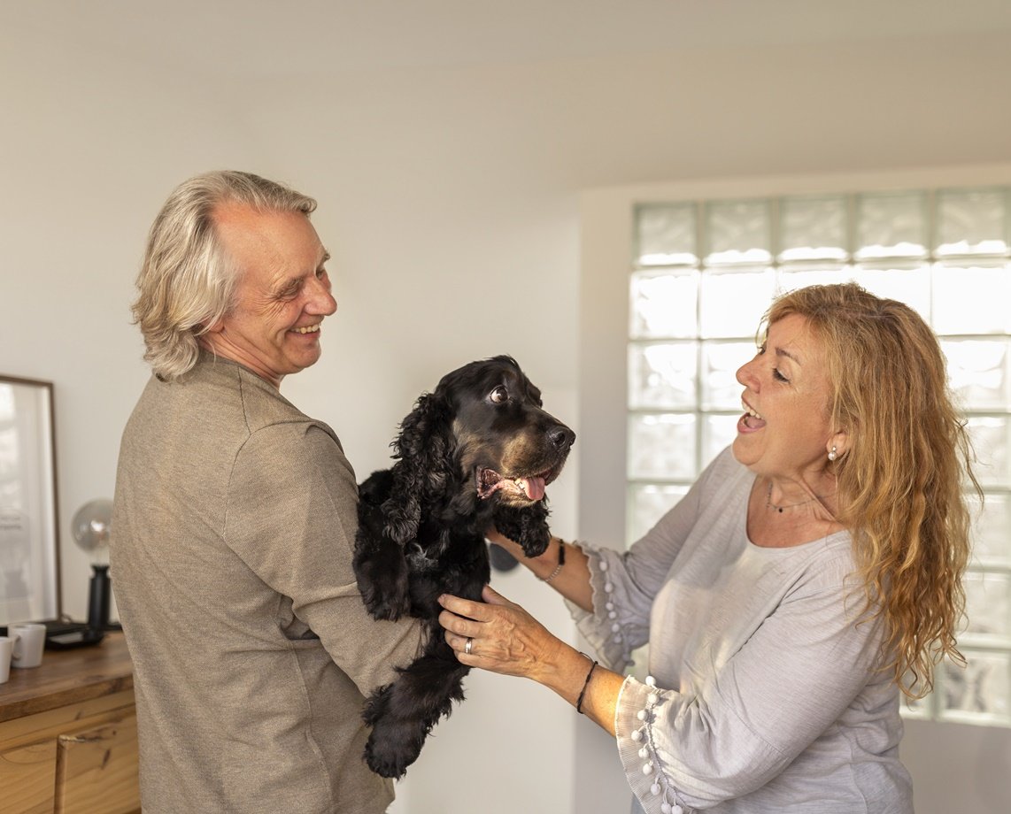  Estudo aponta que terapia com cães ajuda pacientes idosos; veterinária explica