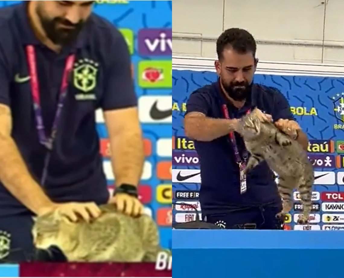 Conselho de veterinária diz que forma de segurar gato em coletiva da CBF é "comum"