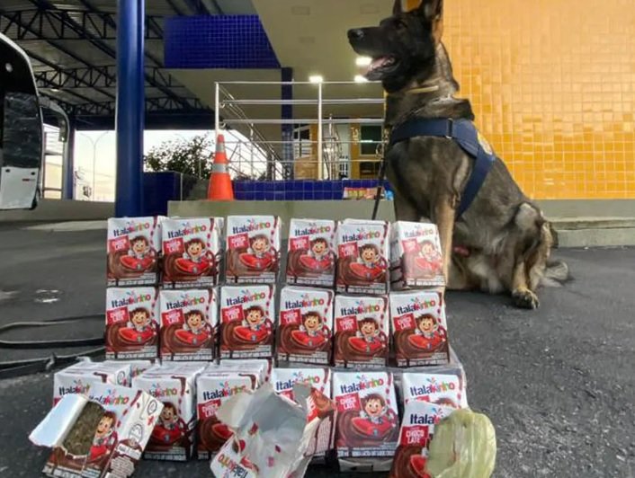 Drogas são encontradas em caixas de achocolatado em Vitória da Conquista; veja vídeo