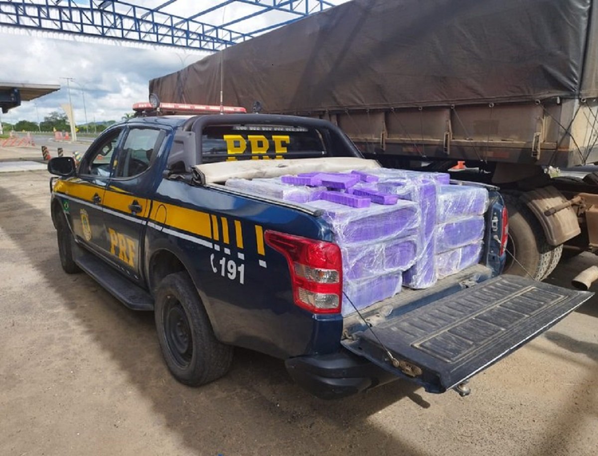 PRF apreende 680 kg de maconha sendo transportada em caminhão, em Feira de Santana