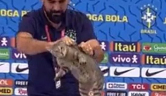 ONGs pedem multa de R$ 1 milhão à CBF por episódio com gato na Copa do Catar