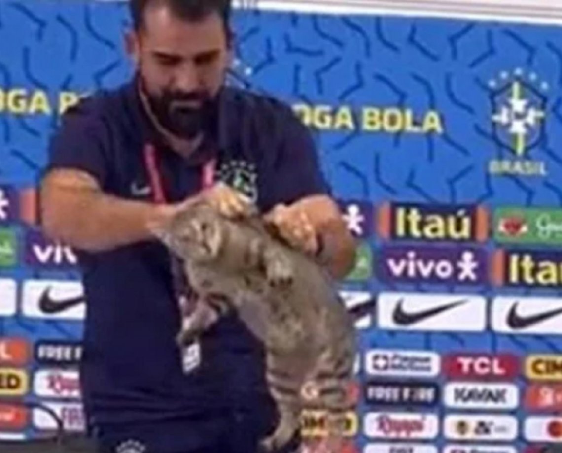 ONGs pedem multa de R$ 1 milhão à CBF por episódio com gato na Copa do Catar