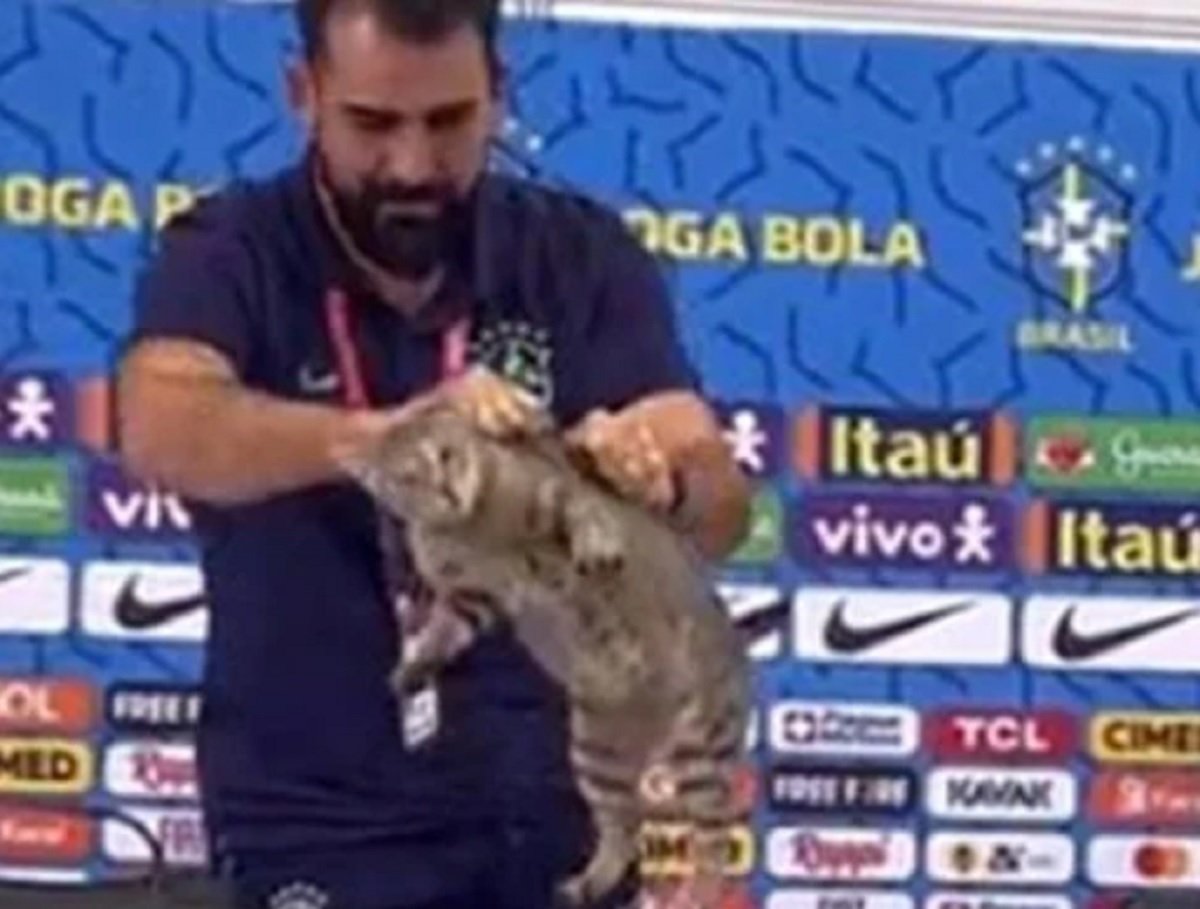 ONGs pedem multa de R$ 1 milhão à CBF por episódio com gato na Copa do Catar