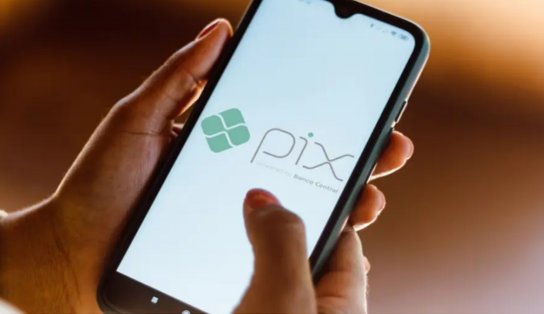 Aceita Pix? Empresas que fazem vendas online buscam alternativa com menos taxas