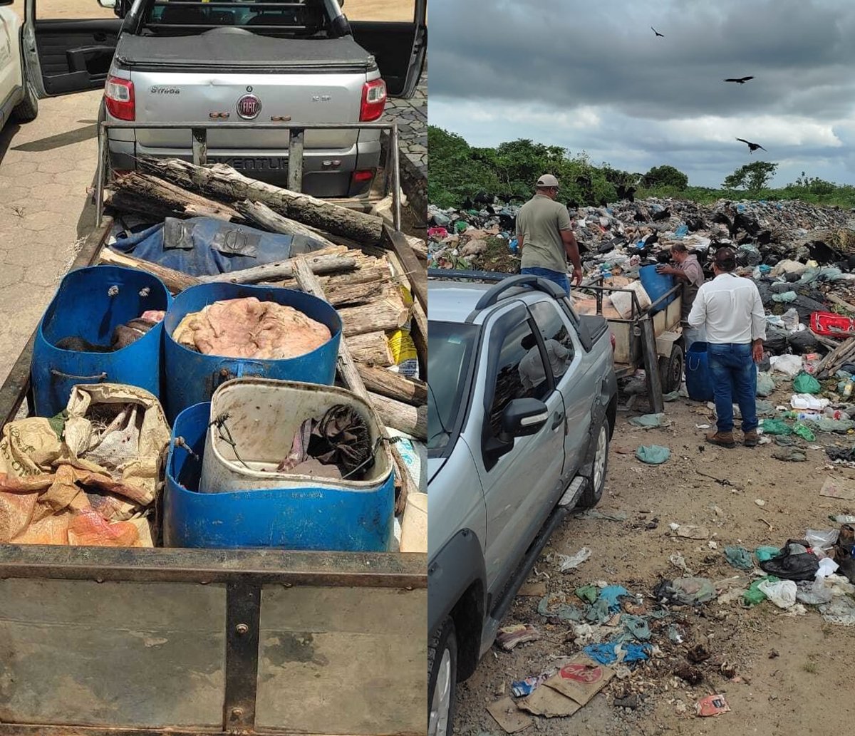 Noventa quilos de carne são jogados fora durante ação da PM e ADAB na Bahia 