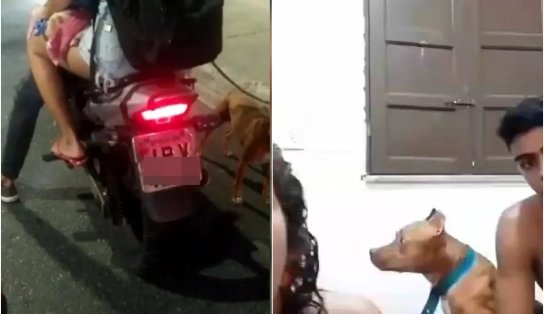 Donos de cachorro supostamente arrastado se justificam sobre caso; “não aconteceu”