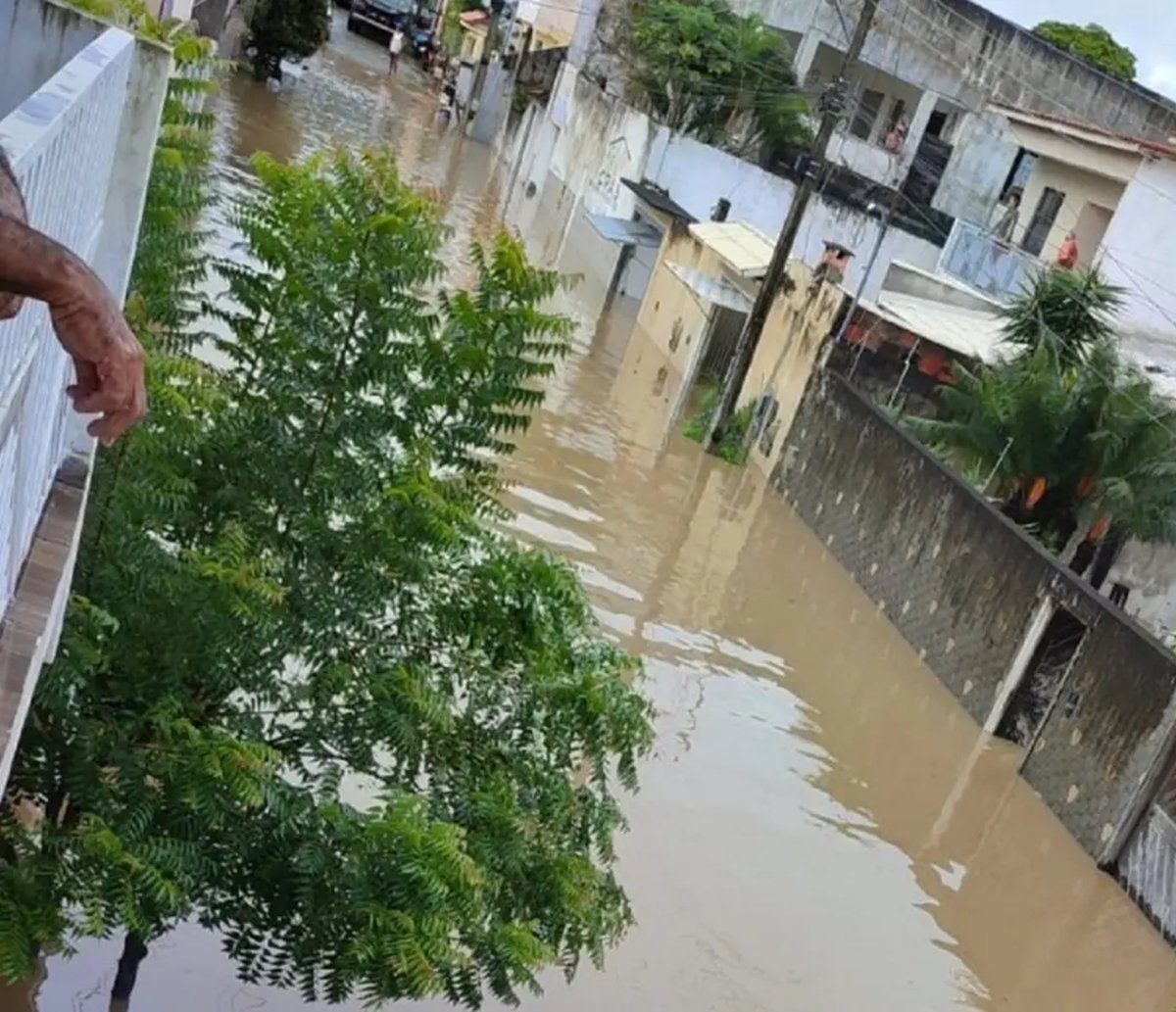 Saiba como ajudar as vítimas das chuvas na Bahia  