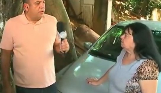 Corta ou não corta? Árvore no Alto de Ondina gera confusão entre vizinhas; assista