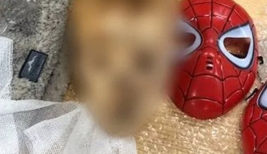 Cabeça de criança decapitada usando máscara de homem-aranha é descoberta em pacote de correio