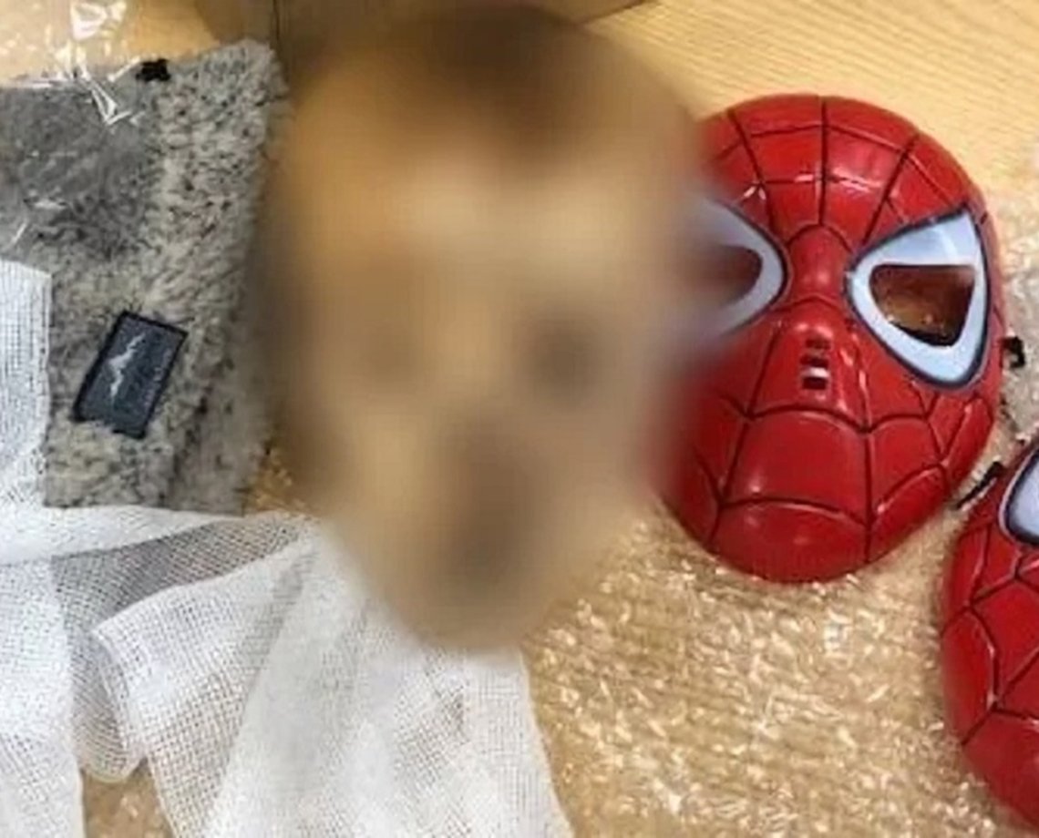 Cabeça de criança decapitada usando máscara de homem-aranha é descoberta em pacote de correio