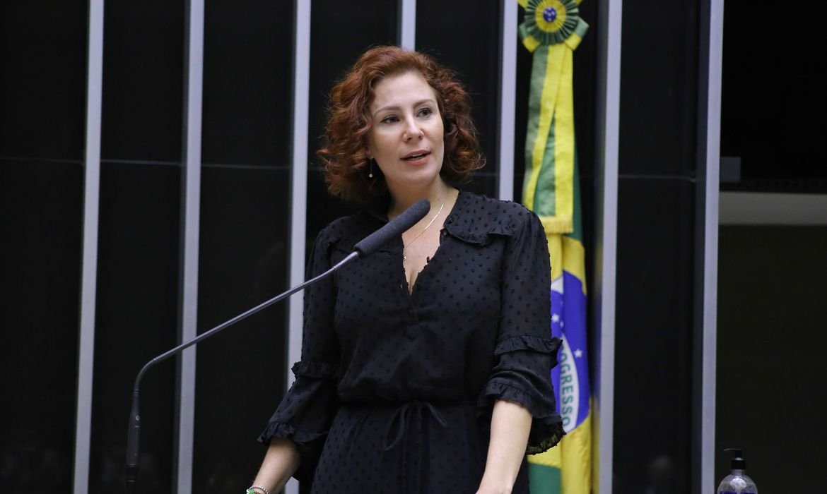 STF autoriza, e PF apreende armas da deputada Carla Zambelli