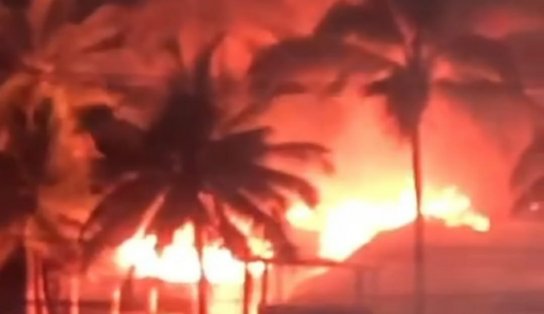 Cabana de praia pega fogo em Ilhéus e chamas atigem coqueiros; veja vídeo  