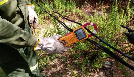 Fazenda em Juazeiro é flagrada furtando energia suficiente para abastecer 1.400 residências