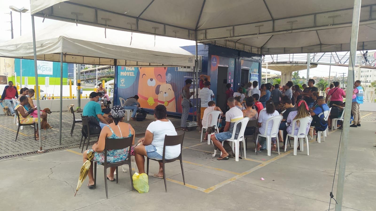 Castramóvel atende no Salvador Norte até a próxima sexta-feira