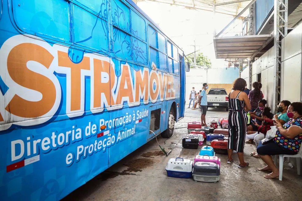 Homem comete maus-tratos a animais no Castramóvel do bairro do Bonfim