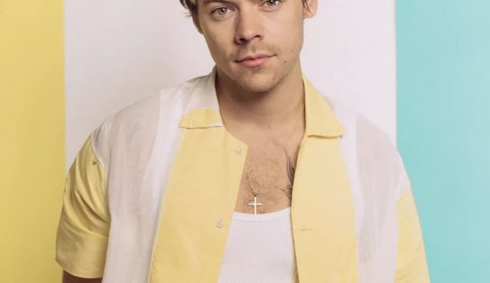 Fãs vibram após calca de Harry Styles rasgar em show nos Estados Unidos