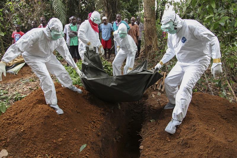 Ebola já matou mais de 8,1 mil pessoas na África Ocidental