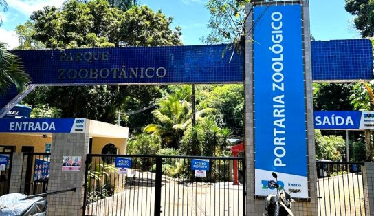 Durante reforma, zoológico de Salvador tem entrada exclusiva pelo Alto de Ondina