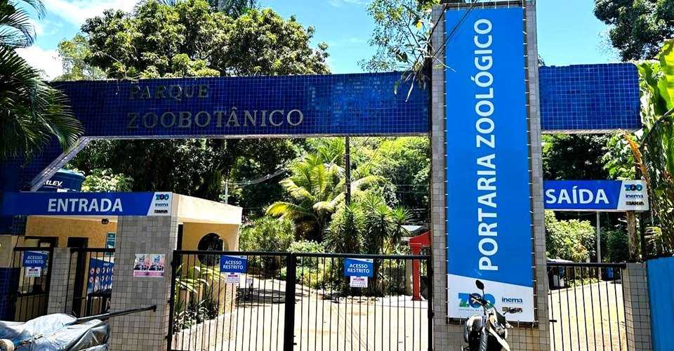 Durante reforma, zoológico de Salvador tem entrada exclusiva pelo Alto de Ondina