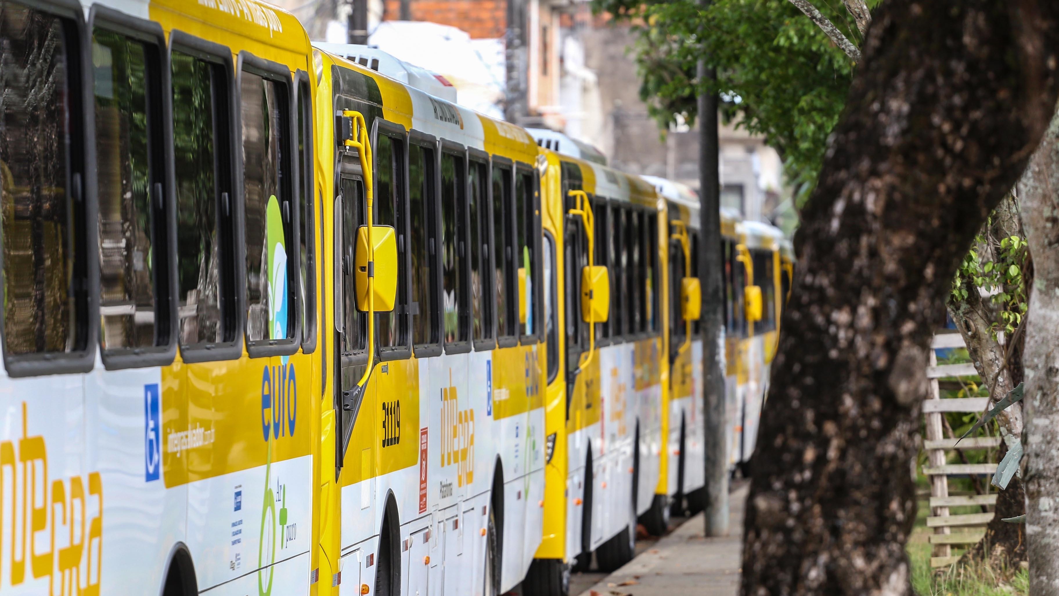 Acidente na Av. São Rafael altera 19 linhas de ônibus; confira