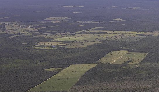 Mata Atlântica tem redução de desmatamento de 55% no primeiro semestre