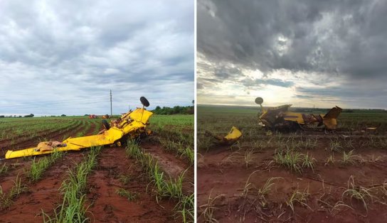 Piloto morre após queda de avião em lavoura de cana em Goiás