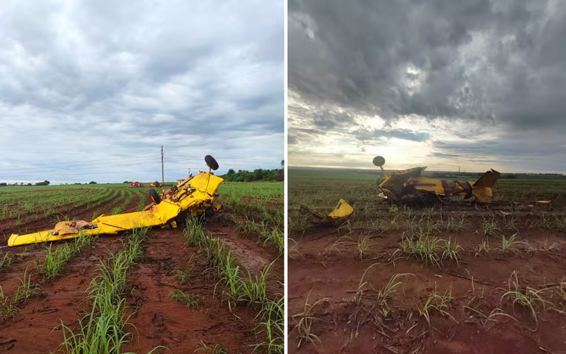 Piloto morre após queda de avião em lavoura de cana em Goiás