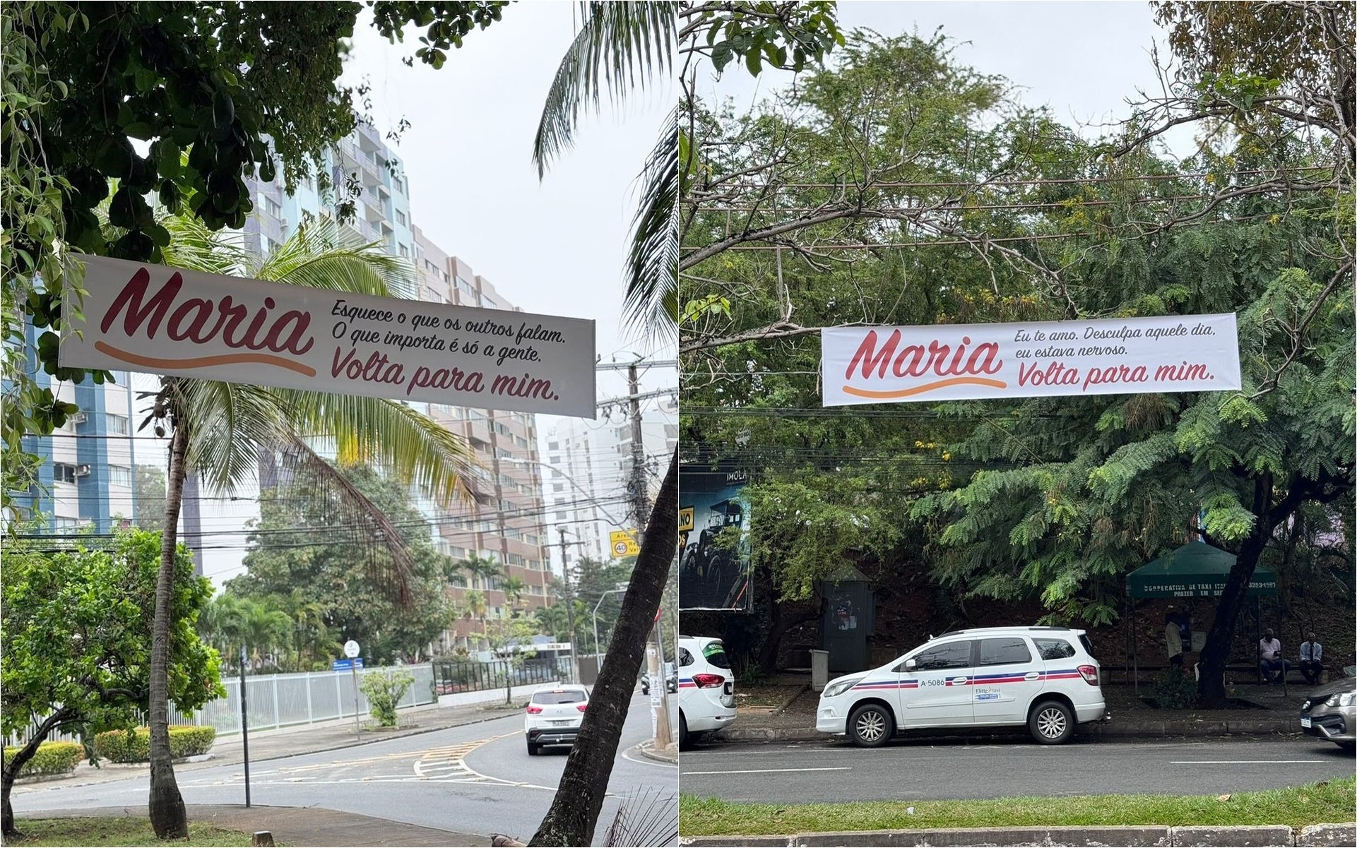 'Não volta, Maria': placas em Salvador são de campanha contra violência doméstica