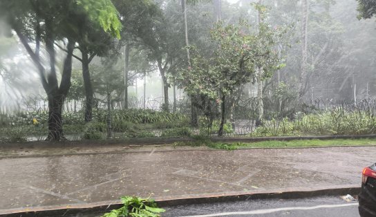 Veja os bairros mais afetados pela chuva na manhã desta quarta-feira (27)