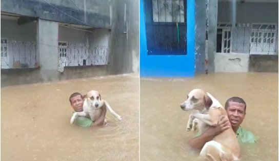 Com água no pescoço, homem tenta tirar cão de casa alagada em Plataforma