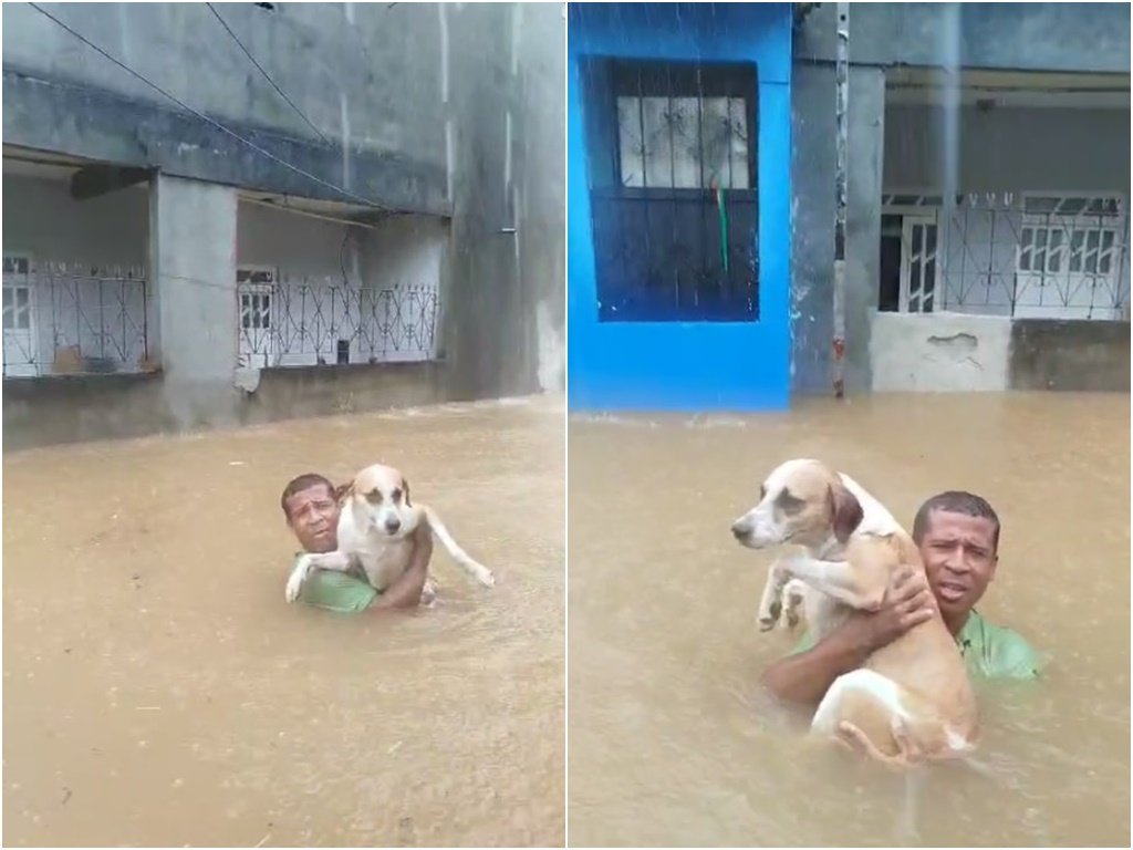 Com água no pescoço, homem tenta tirar cão de casa alagada em Plataforma