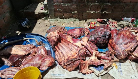 Cortes de carne de boi furtado são apreendidos em Mata de São João