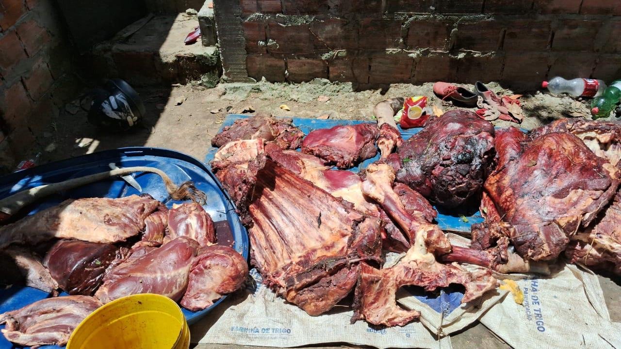 Cortes de carne de boi furtado são apreendidos em Mata de São João