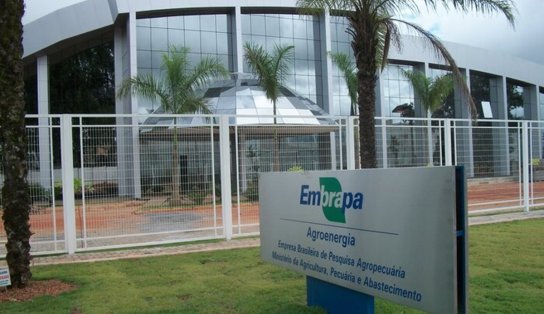 Concurso da Embrapa tem 1.027 vagas com salários até R$ 12,8 mil; veja edital