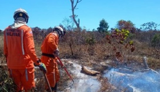 Incêndio atinge floresta em Santa Cruz Cabrália, na Bahia