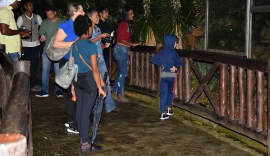 Passeio noturno no Zoológico de Salvador tem novas datas em dezembro