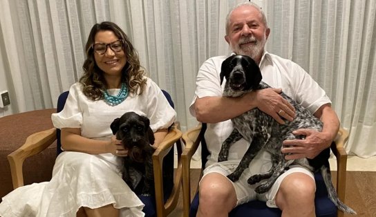 Lula sanciona lei que cria Cadastro Nacional de Animais Domésticos  