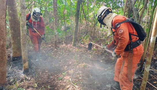 Após 10 dias, bombeiros debelam incêndios florestais na Chapada Diamantina