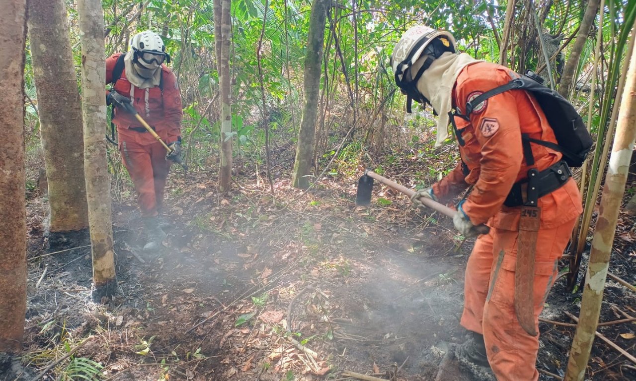 Após 10 dias, bombeiros debelam incêndios florestais na Chapada Diamantina