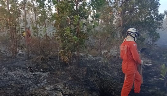 Bombeiros combatem incêndio em Massarandupió; chamas foram controladas